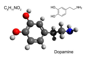 Chemical formula, structural formula and 3D ball-and-stick model of a hormone and neurotransmitter dopamine, white background
