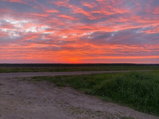 sunset over the field