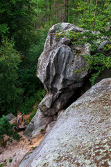 Country Landscape in the Rychlebske Mountains, Northern Moravia, Czech Republic
