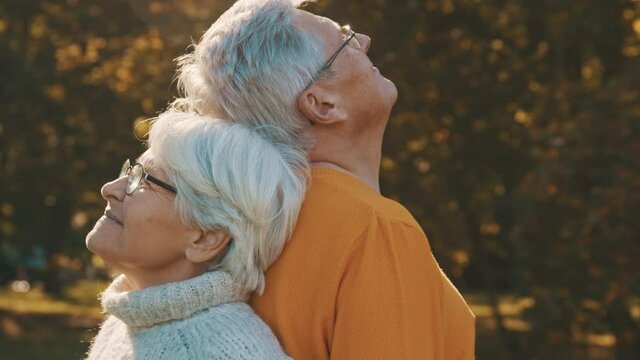 Love and romance at old age. Retired couple enjoying autumn day in forest staying back to back and smiling. High quality 4k footage