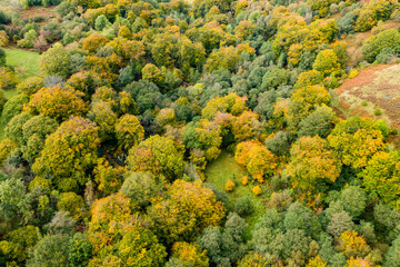 Aerial view of autumn colours