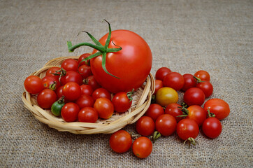 Ripe, fresh, red tomatoes on a coarse burlap