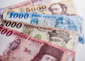 World money collection. Fragments of Hungary money