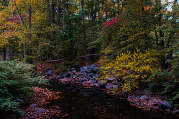 Pocantico River in Rockefeller State Park in autumn