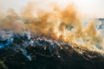 Forest fire aerial view, wildfire after dry summer season, burning nature.