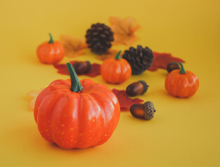 Orange pumpkins, cones, acorns and leaves on yellow background. Concept of autumn harvest.