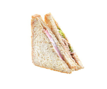  Tuna,, Sandwich  Isolated  On  White,  Background,