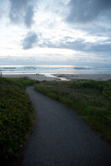 Last light showing S curve bending away toward the beach through coastal vegatation at sunset dark and overcast