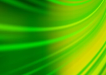 Light Green vector bokeh and colorful pattern.