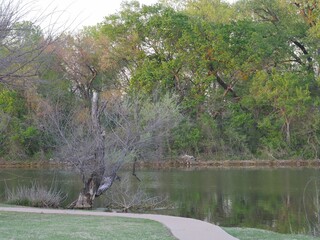 Lakeside view with a concrete walkway along it