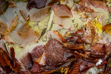 Osorezan in Aomori, 2020.