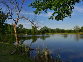 Obraz premium Scenic view by the lake with reflections of trees in the water