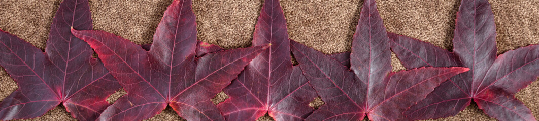Fall color, dark red maple leaves on brown fabric, as a nature background
