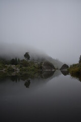 Reflejo 
