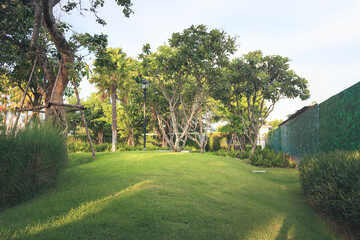 Garden and landscaping. Consist of green field, empty space and natural environment. That ornamental and decoration by grass, lawn, turf, bush and shrub. For home recreational and nature background.