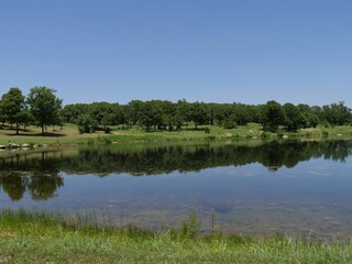 Fototapeta premium Trees mirrored in the lake waters on a beautiful day at the Chickasaw National Recreation Area in Davis, Oklahoma