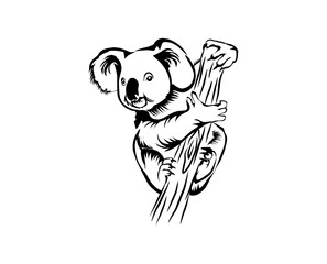 koala full body vector illustration © Kareemov