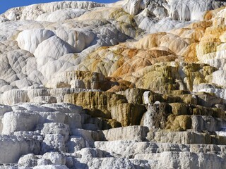 Close up shot of the palette spring terraces at the Mammoth Hot Springs near the northern entrance of Yellowstone National Park.