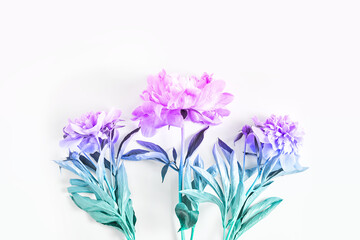 beautiful bouquet of peony flowers. painted with a pastel gradient. flat lay, top view