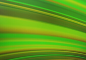 Light Green vector blurred shine abstract template.