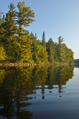 Fototapeta na wymiar reflection of trees over Canisbay Lake in Algonquin Park Canada
