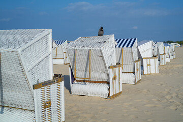 Fototapeta na wymiar Strandkörbe am Strand von Swinemünde an der Ostsee in Polen