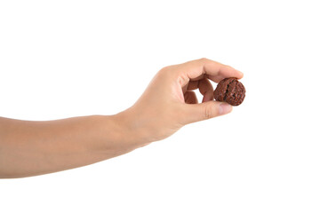 A hand playing with Wenwan Walnut in front of white background