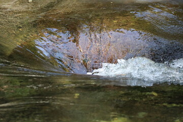 whirl pool in a mountain stream