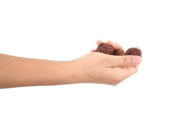 A hand playing with Wenwan Walnut in front of white background