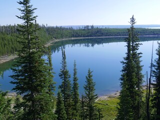 Top view of Lake Yellowstone with pine trees along the bank, Yellowstone National Park, Wyoming, USA.
