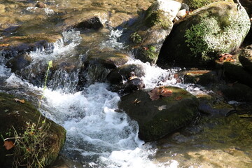 Fototapeta premium water flowing over rocks