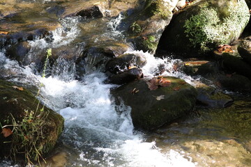 mountain river water flowing over rocks