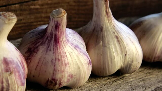 Dolly shot a close-up of a scattering of whole garlic heads on a light beige wooden background. Harvest of fresh ecological pure natural antibiotic. Healthy food concept