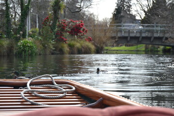 The rowboat on the lake