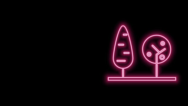 Glowing neon line Trees icon isolated on black background. Forest symbol. 4K Video motion graphic animation