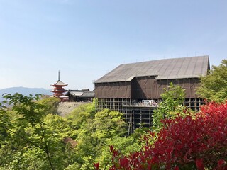 Fototapeta na wymiar Kyoto breeze