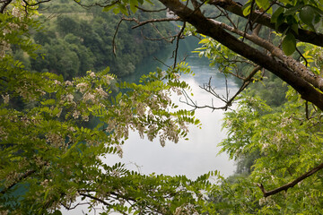 The view through tree branches on the broad river