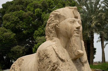 Fototapeta na wymiar Alabaster the Sphinx stone sphinx of Memphis, Cairo, Egypt