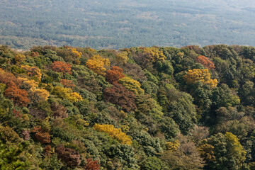 Autumn landscape of Nokkome Oreum, Jeju island, South Korea