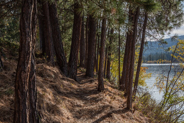 Lake Trail