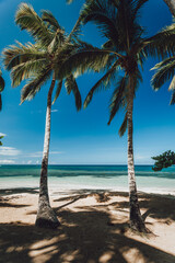 Paradise beach with white sand, palm trees and blue water of Atlantic Ocean, Las Terrenas, Samana, Dominican Republic