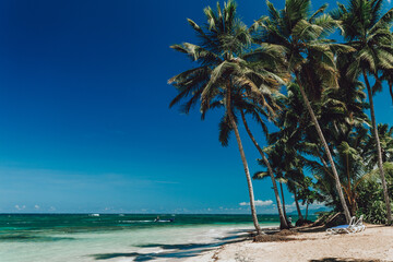 Paradise beach with white sand, palm trees and blue water of Atlantic Ocean, Las Terrenas, Samana, Dominican Republic