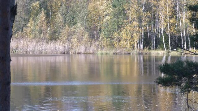Autumn lake in Finland, static flat
