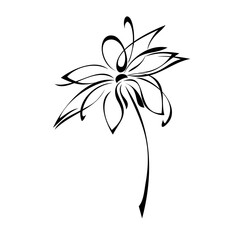 one stylized blooming flower on a short stalk without leaves in black lines on a white background