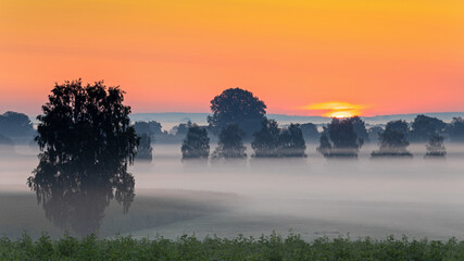 Nebliger Sonnenaufgang über dem Donaumoos in Bayern