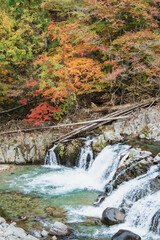 平滝と紅葉