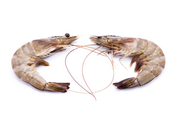Fresh shrimp on white background