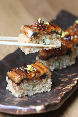 Unagi Sushi rolls- japanese food style