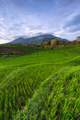 Scenery of rice terrace field with beautiful sunrise sky and high mountain in the background. Rural scene of Indonesia. Top photography destinations