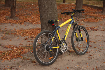 Fototapeta premium Bicycle leaning on a tree